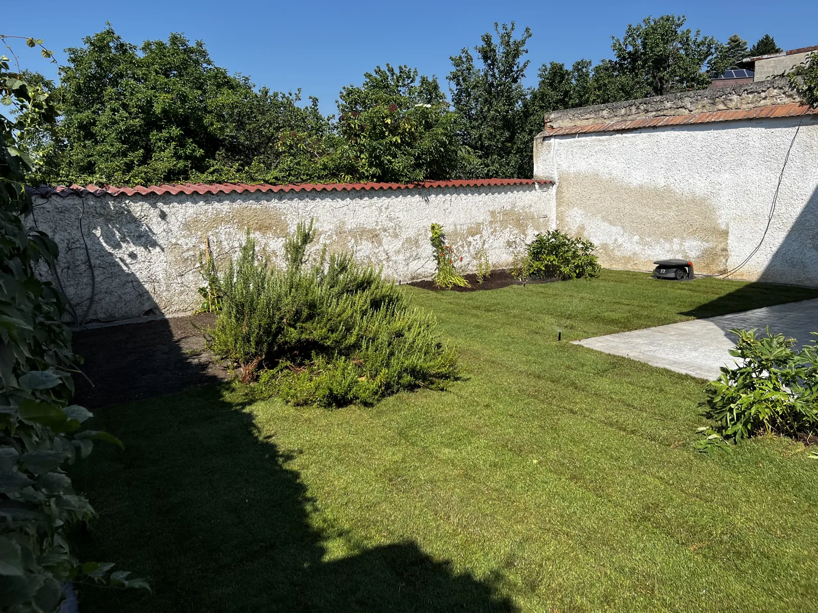 Ummauerter Garten mit neu angelegtem Rasen
