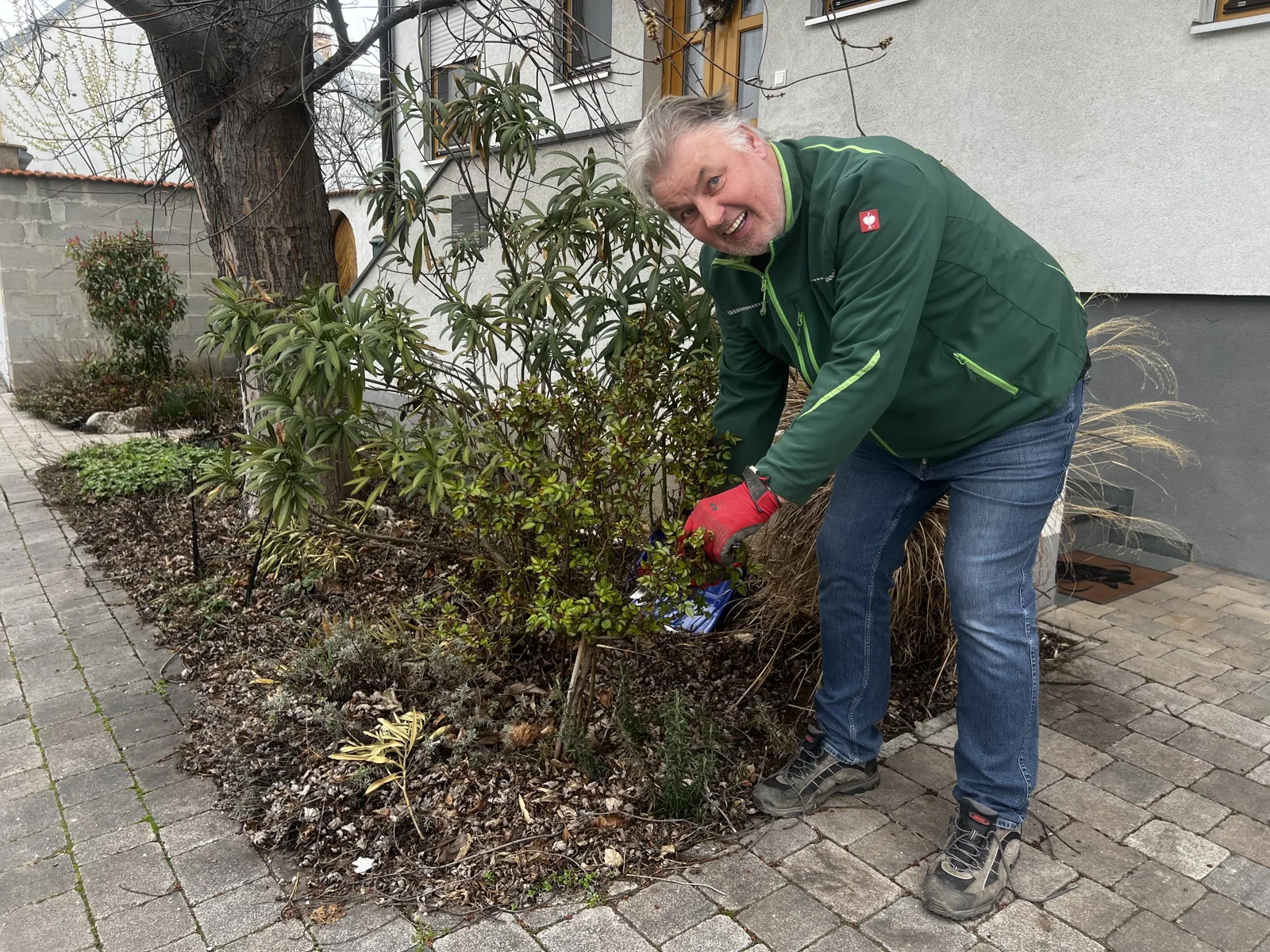 Werner Biedermann beim Strauchschnitt in einem Kundengarten